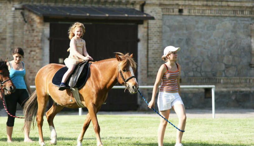 Hotel Záviš z Falkenštejna Hluboká nad Vltavou